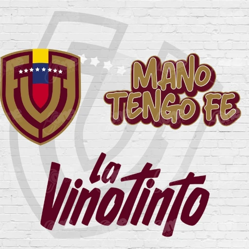 La Vinotinto aún vive y asalta el puesto por el repechaje al Mundial de 2026