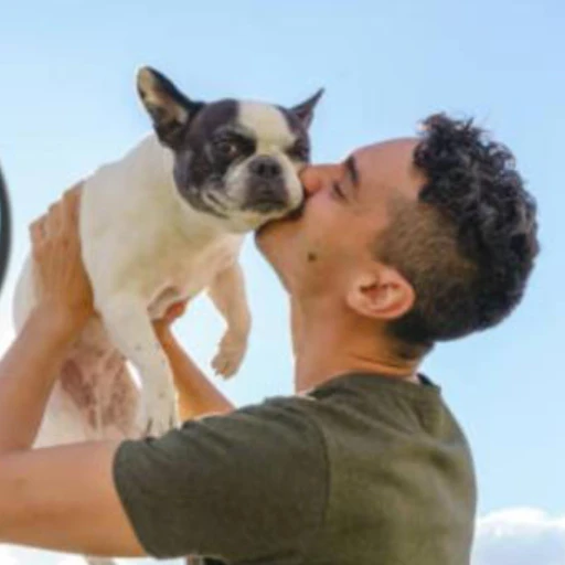¿Qué significa si a alguien le gustan los perros, según la psicología?